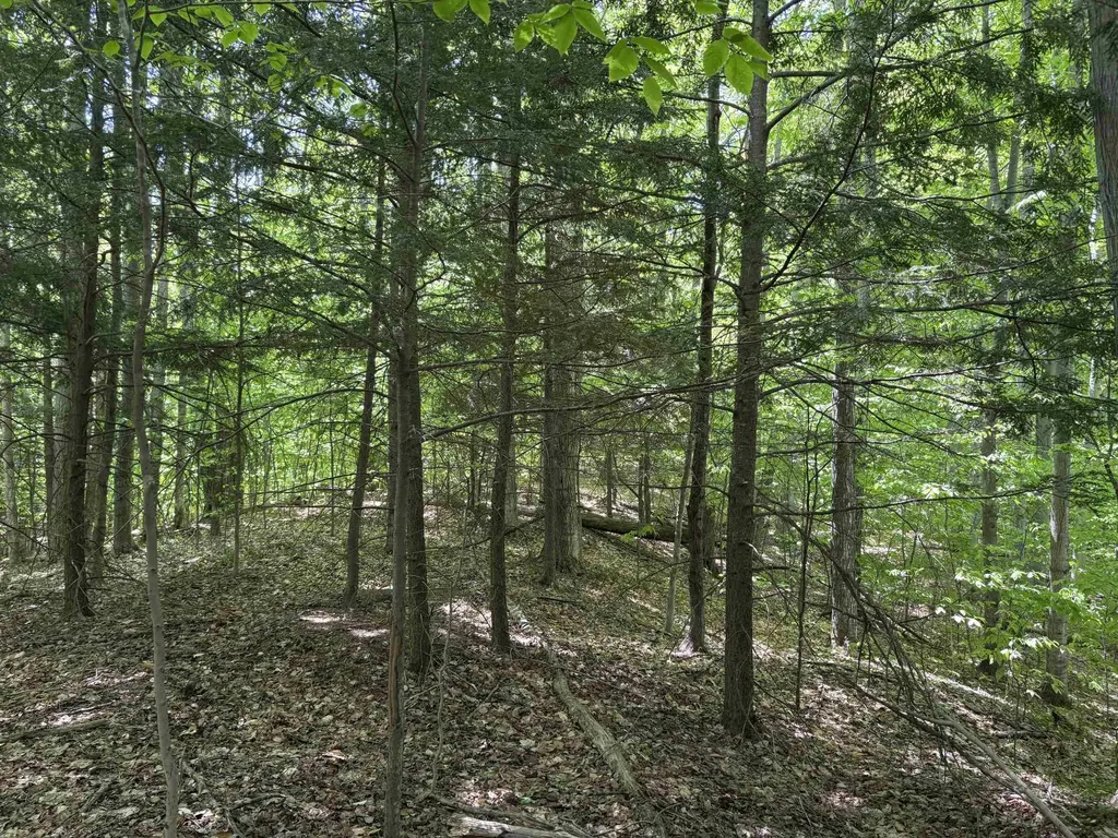 13631 S Beaver Pond Road Empire Township MI 49630