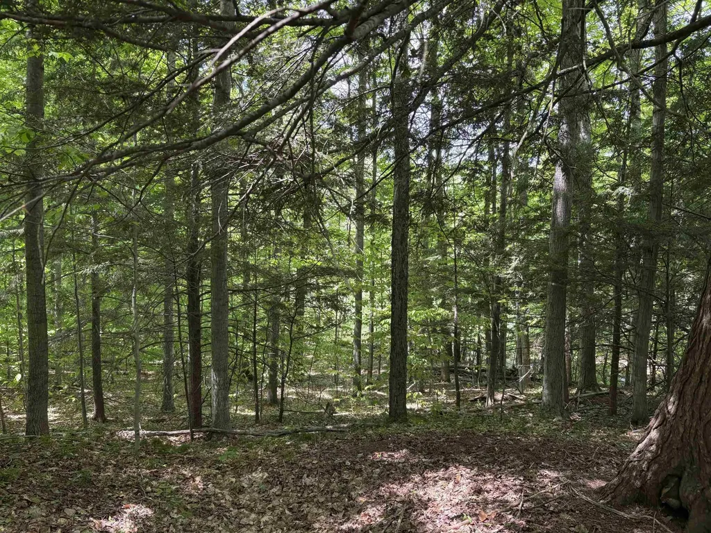 13631 S Beaver Pond Road Empire Township MI 49630