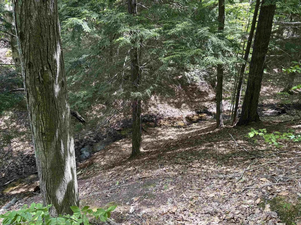 13631 S Beaver Pond Road Empire Township MI 49630