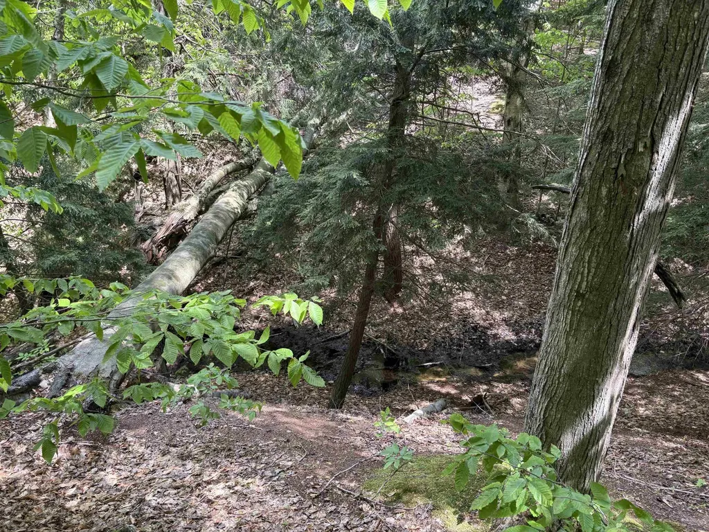 13631 S Beaver Pond Road Empire Township MI 49630