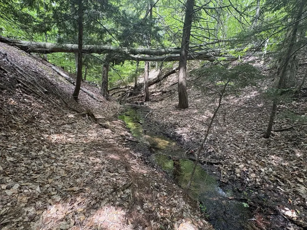 13631 S Beaver Pond Road Empire Township MI 49630
