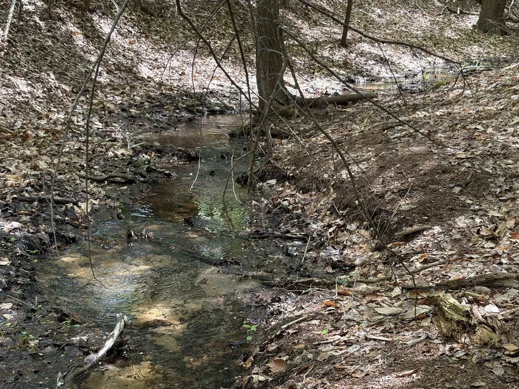 13631 S Beaver Pond Road Empire Township MI 49630