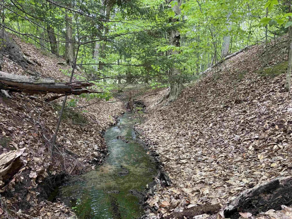 13631 S Beaver Pond Road Empire Township MI 49630