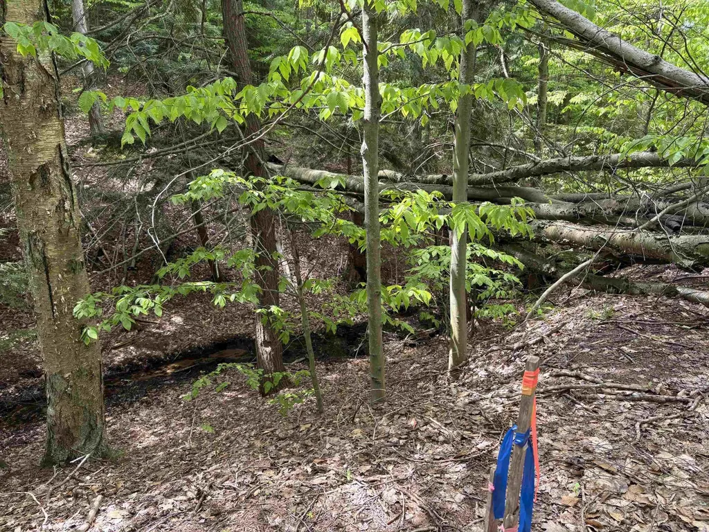 13631 S Beaver Pond Road Empire Township MI 49630