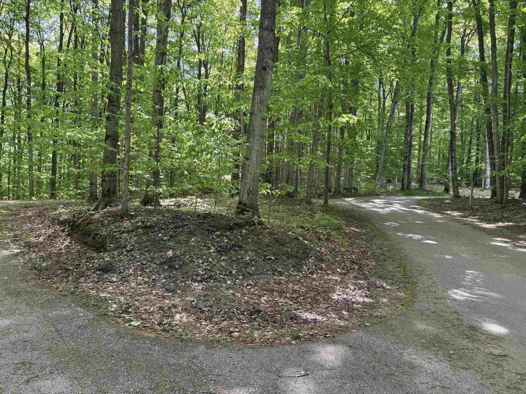 13631 S Beaver Pond Road Empire Township MI 49630
