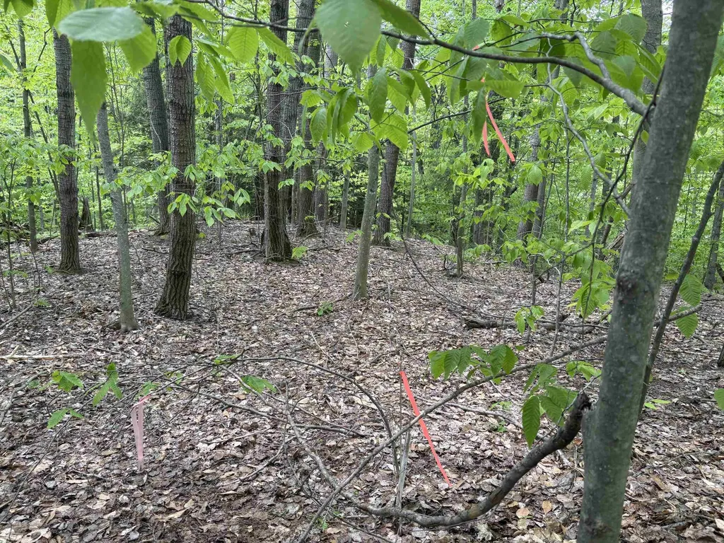 13631 S Beaver Pond Road Empire Township MI 49630