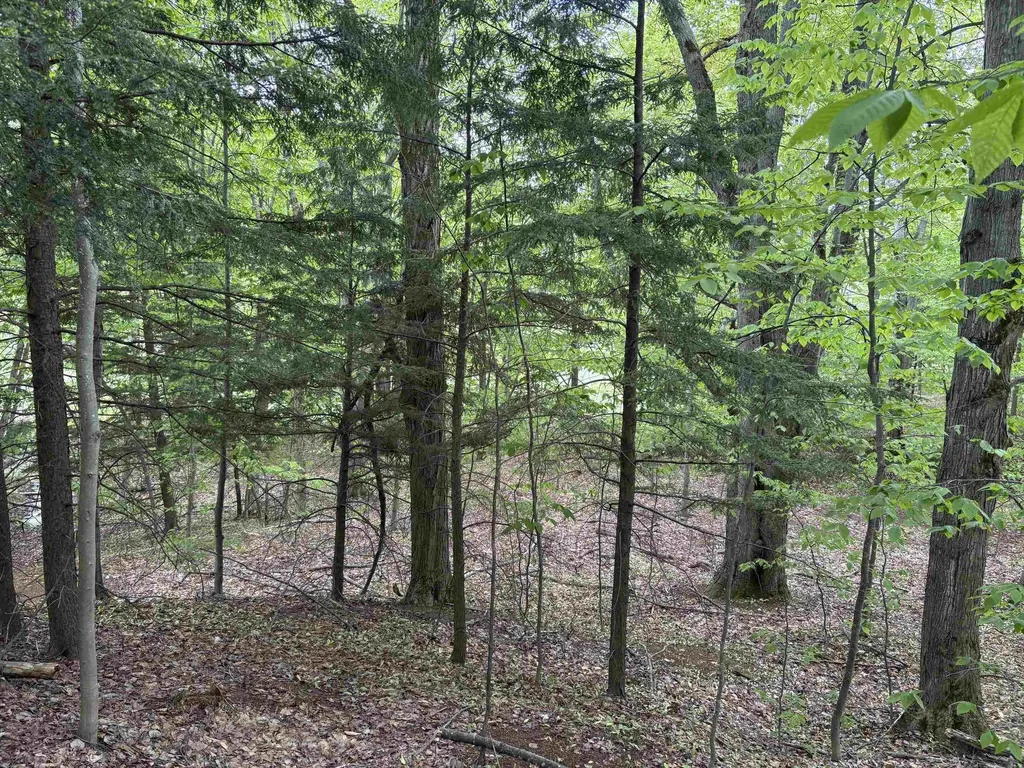 13631 S Beaver Pond Road Empire Township MI 49630
