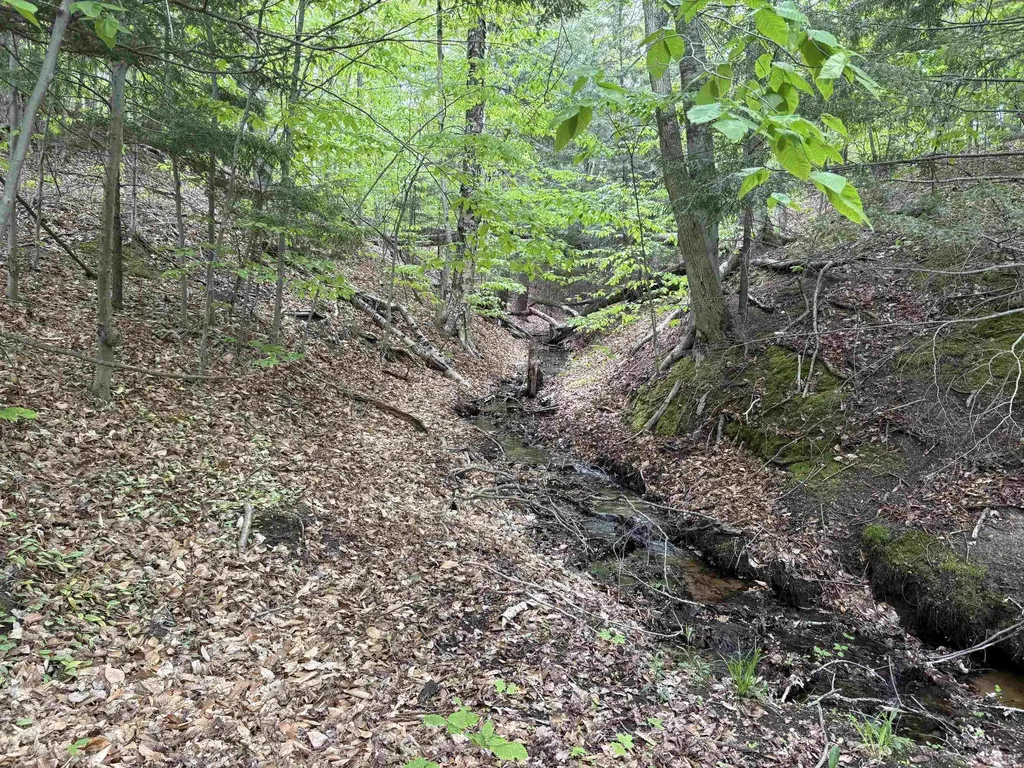 13631 S Beaver Pond Road Empire Township MI 49630