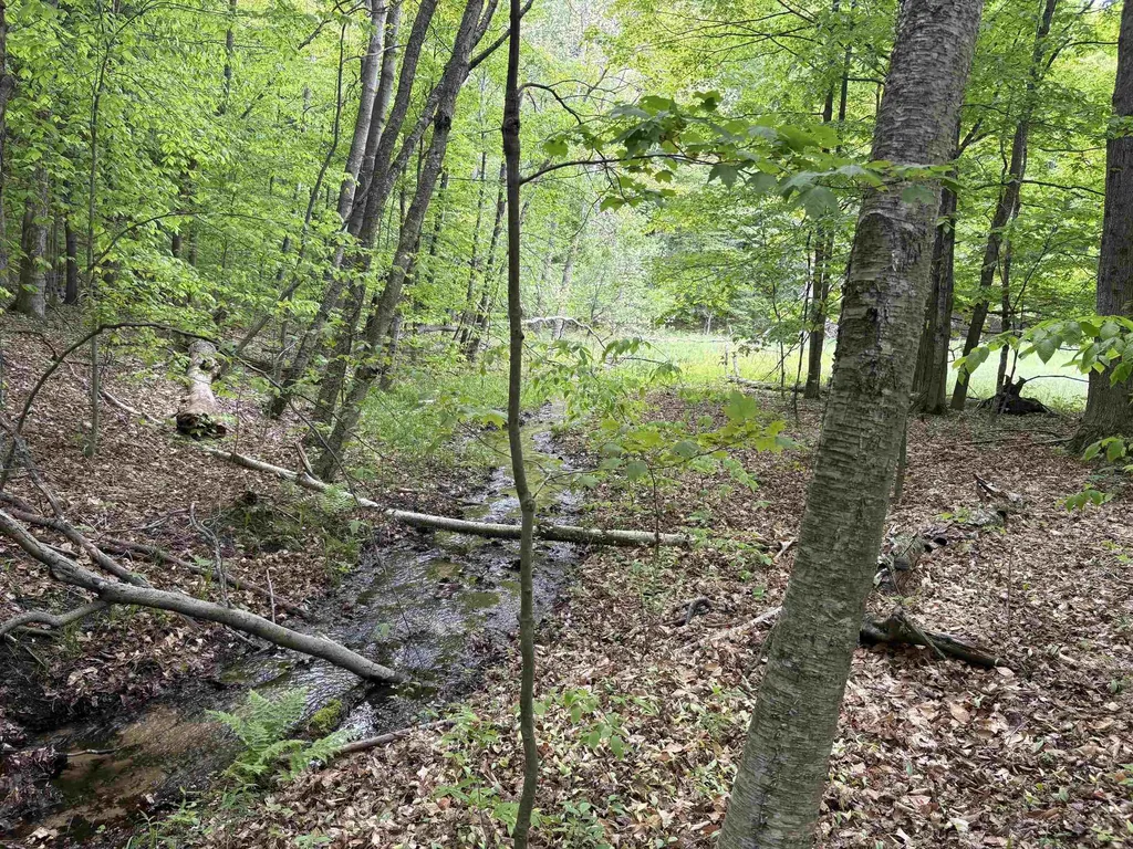 13631 S Beaver Pond Road Empire Township MI 49630