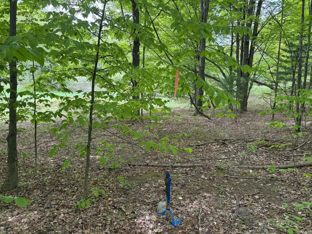 13631 S Beaver Pond Road Empire Township MI 49630