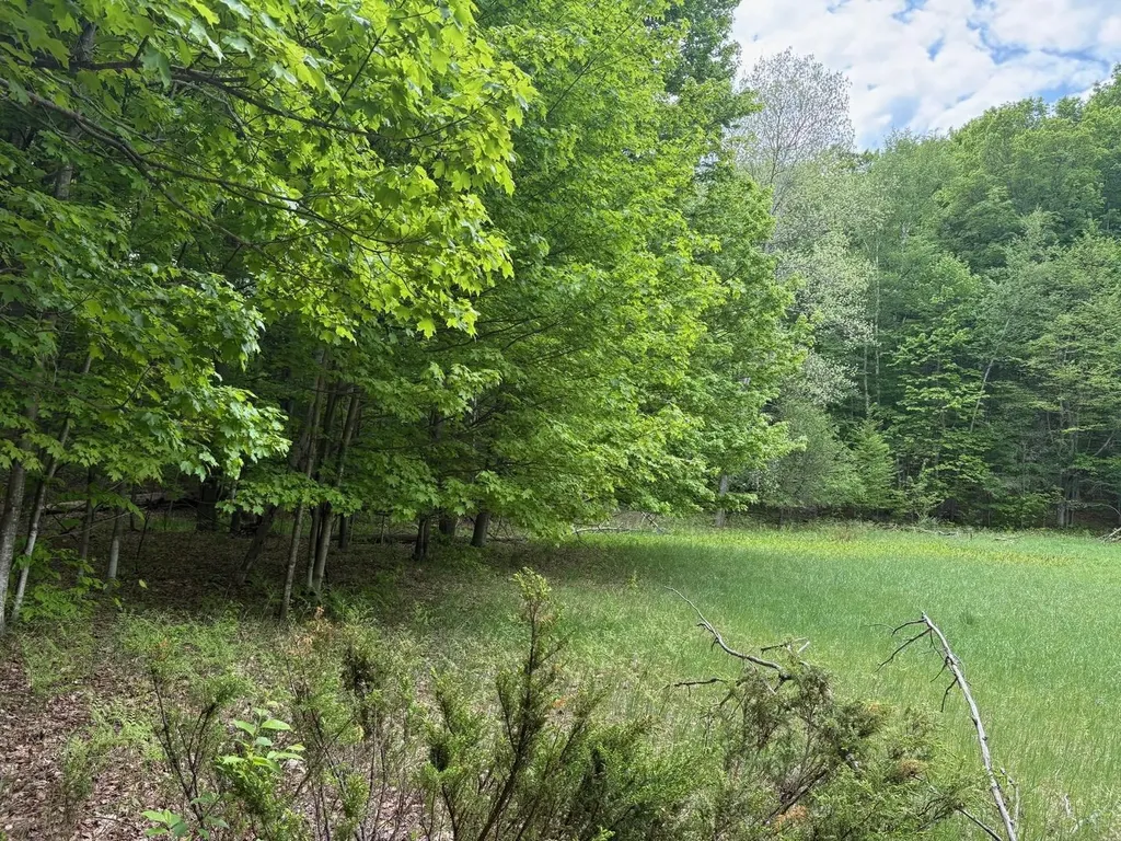 13631 S Beaver Pond Road Empire Township MI 49630