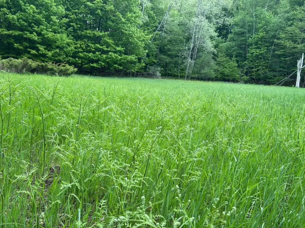 13631 S Beaver Pond Road Empire Township MI 49630