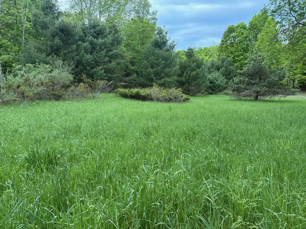 13631 S Beaver Pond Road Empire Township MI 49630
