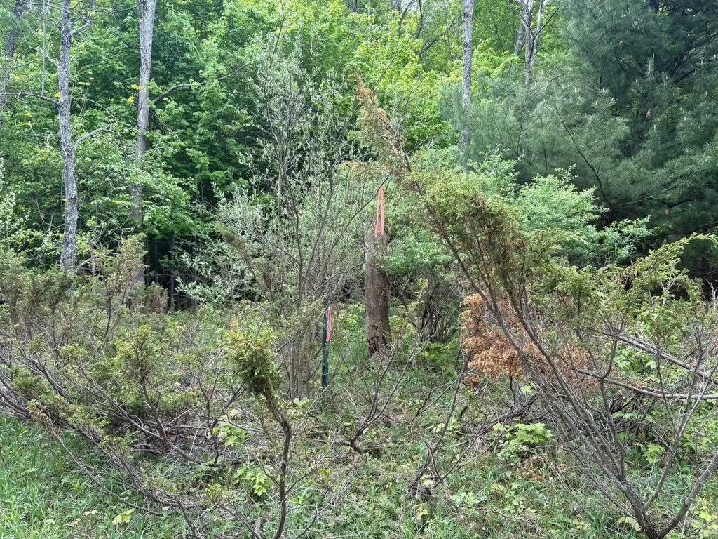 13631 S Beaver Pond Road Empire Township MI 49630