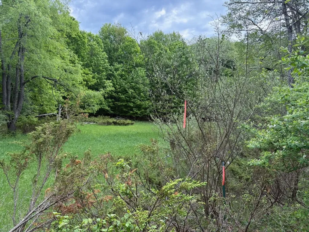 13631 S Beaver Pond Road Empire Township MI 49630