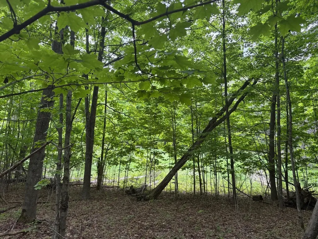 13631 S Beaver Pond Road Empire Township MI 49630