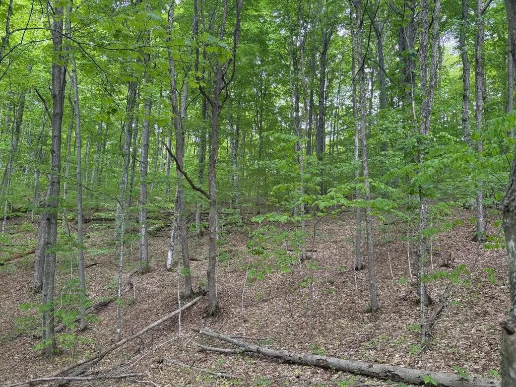 13631 S Beaver Pond Road Empire Township MI 49630