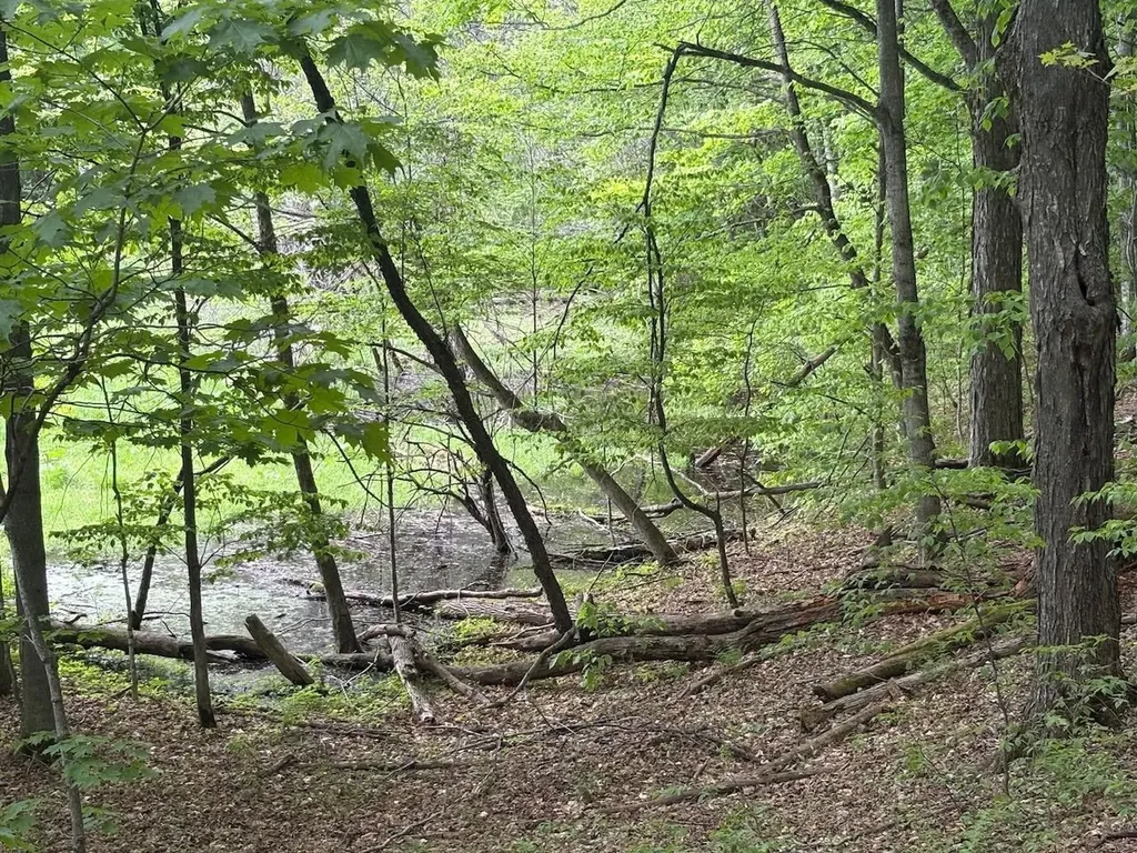 13631 S Beaver Pond Road Empire Township MI 49630