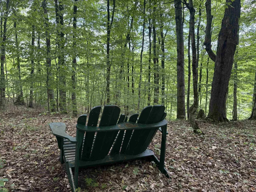 13631 S Beaver Pond Road Empire Township MI 49630