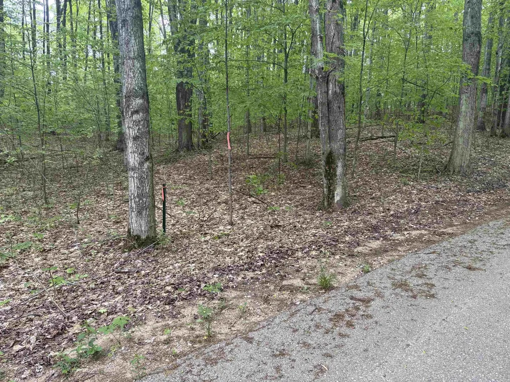 13631 S Beaver Pond Road Empire Township MI 49630