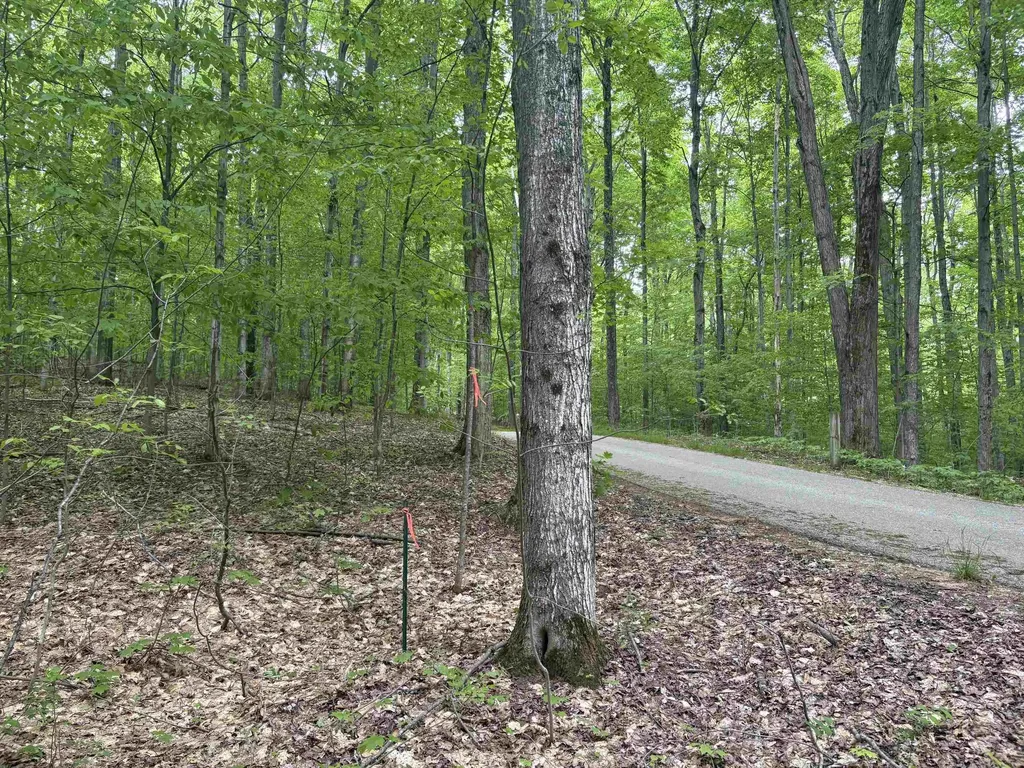 13631 S Beaver Pond Road Empire Township MI 49630