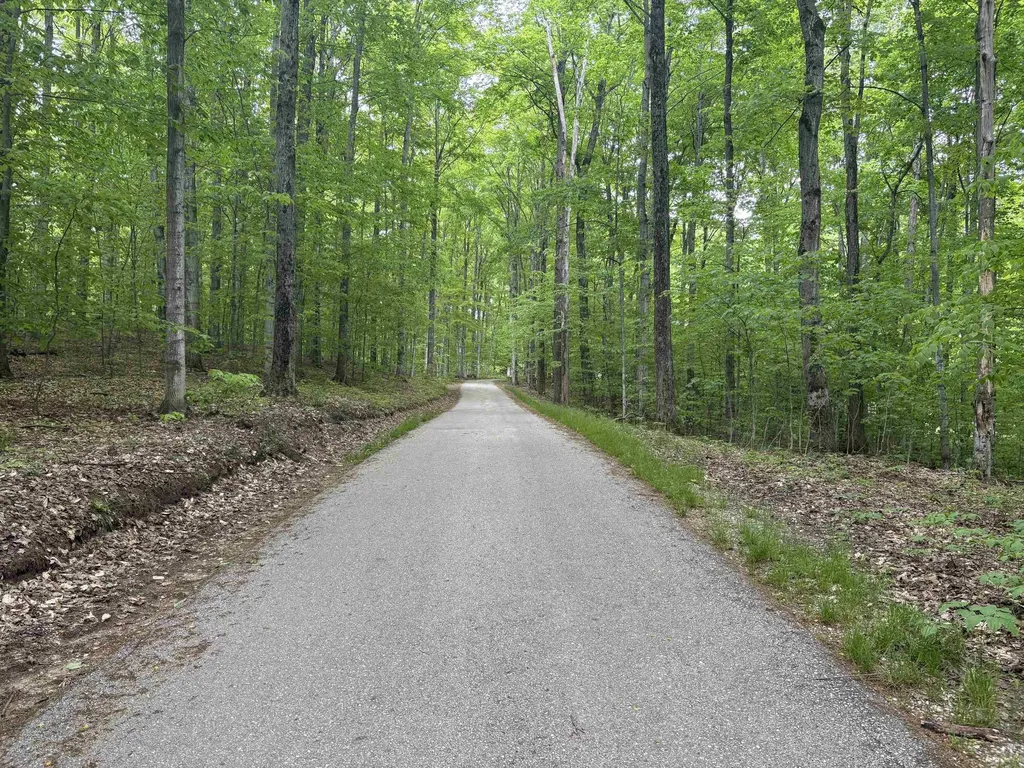 13631 S Beaver Pond Road Empire Township MI 49630