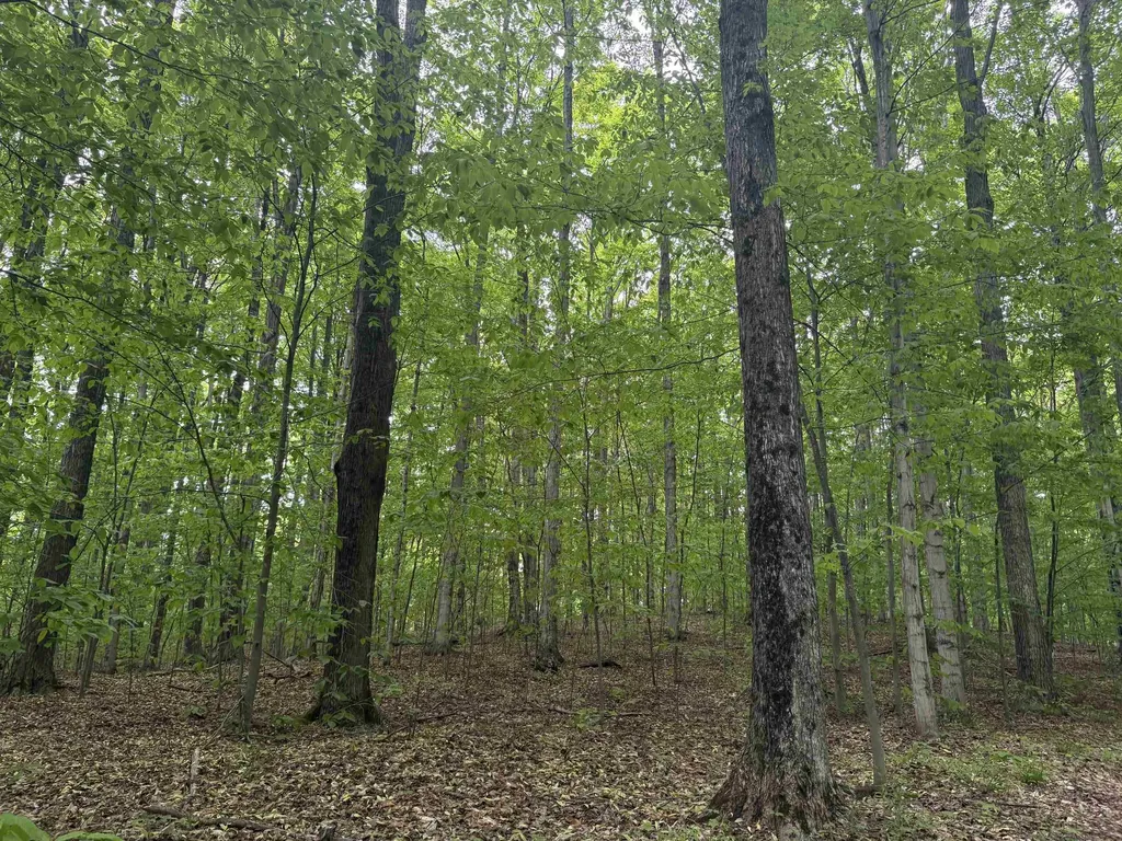 13631 S Beaver Pond Road Empire Township MI 49630