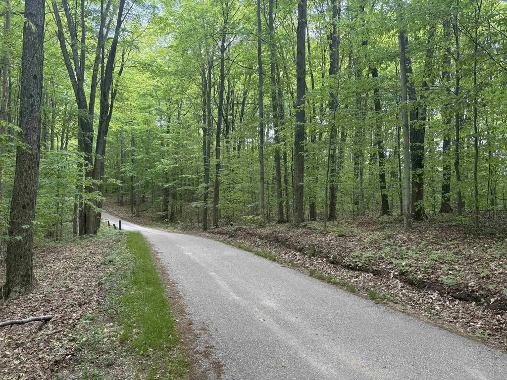 13631 S Beaver Pond Road Empire Township MI 49630