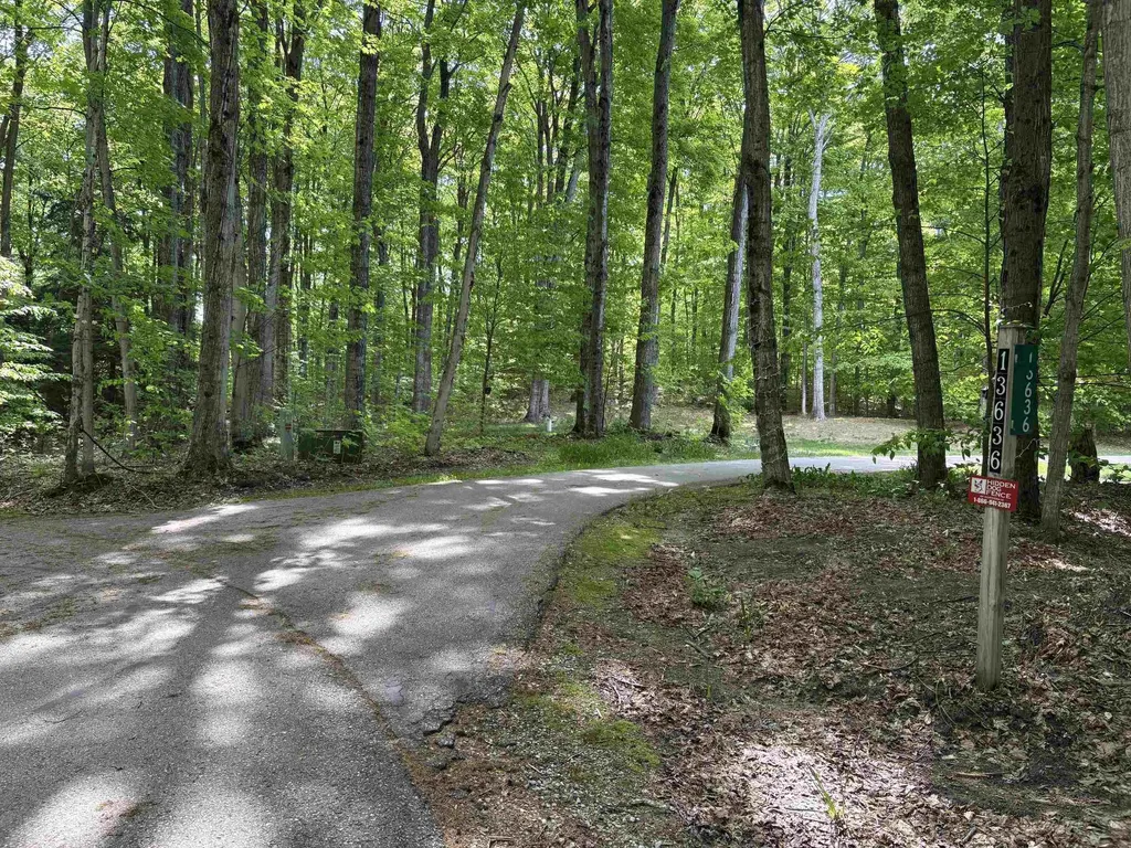 13631 S Beaver Pond Road Empire Township MI 49630