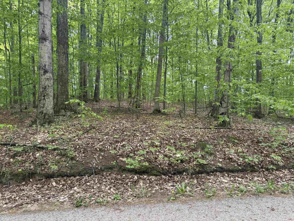 13631 S Beaver Pond Road Empire Township MI 49630