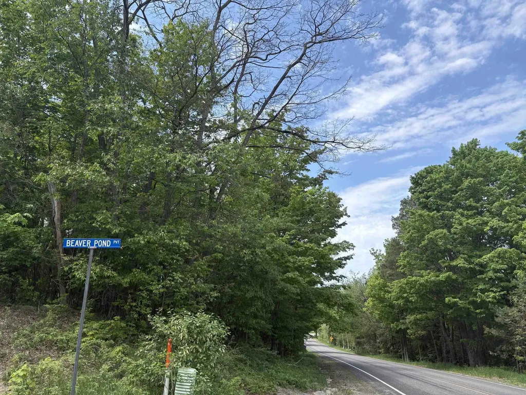 13631 S Beaver Pond Road Empire Township MI 49630