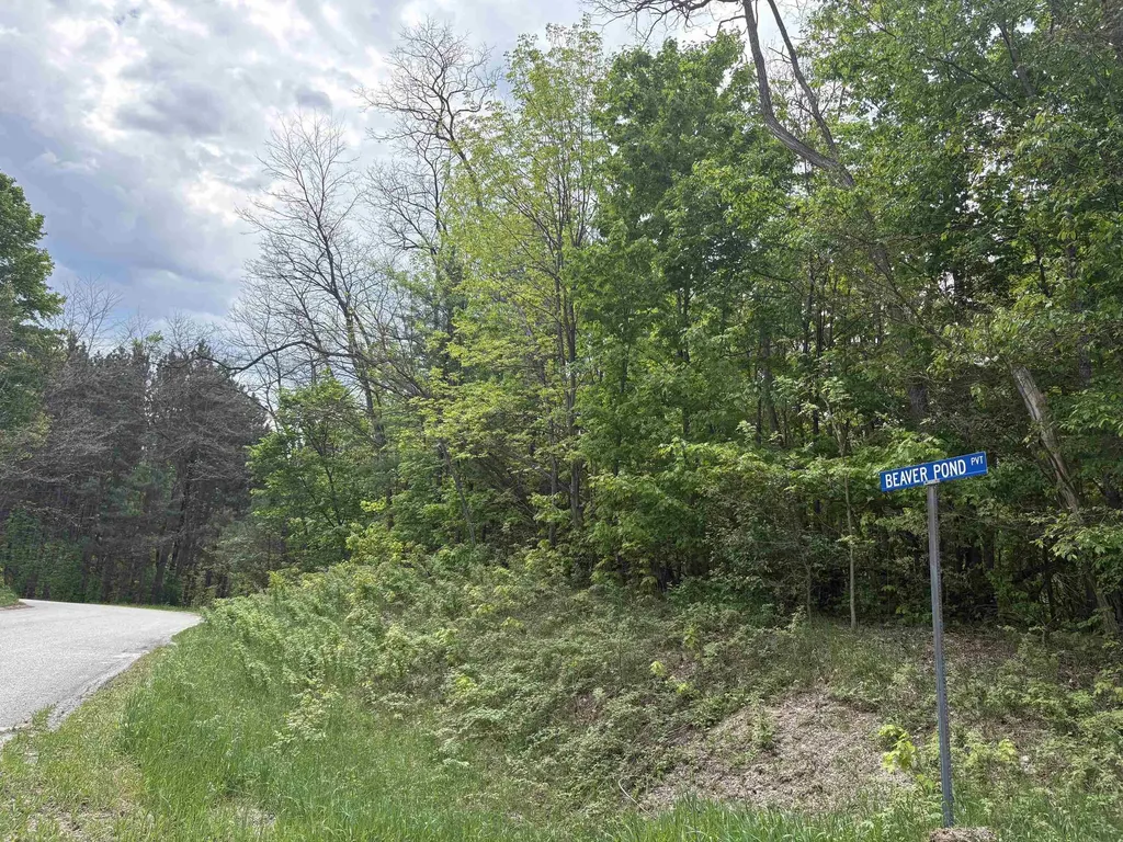 13631 S Beaver Pond Road Empire Township MI 49630