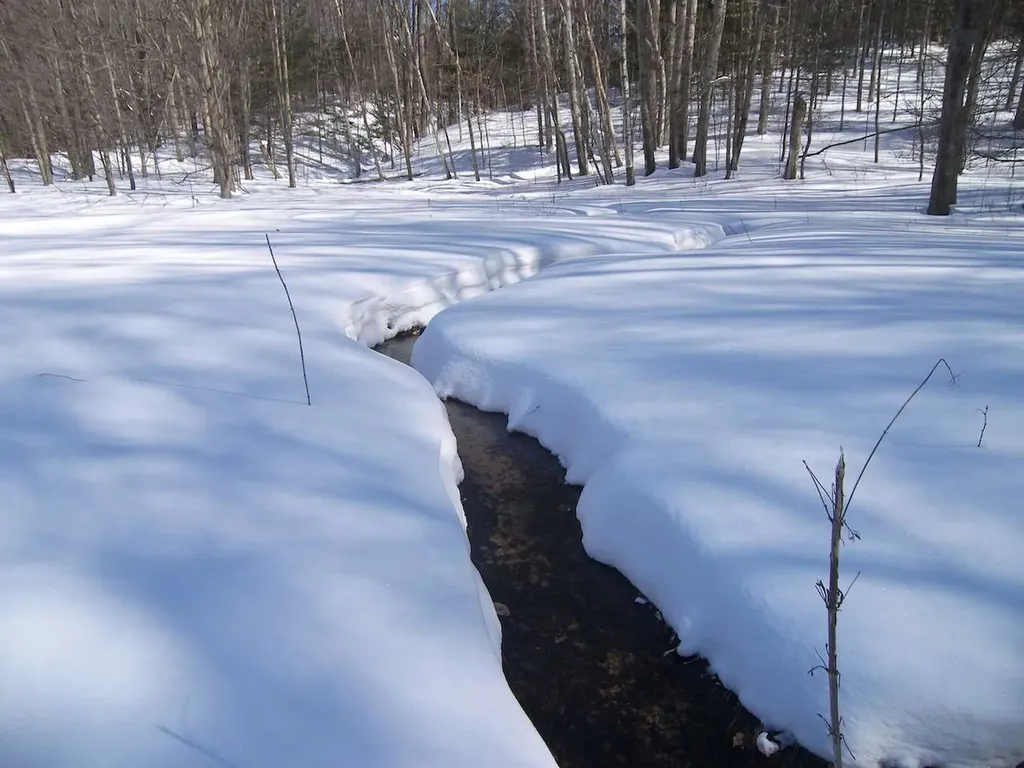 13631 S Beaver Pond Road Empire Township MI 49630