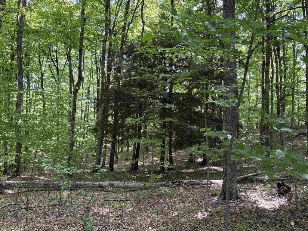 13631 S Beaver Pond Road Empire Township MI 49630