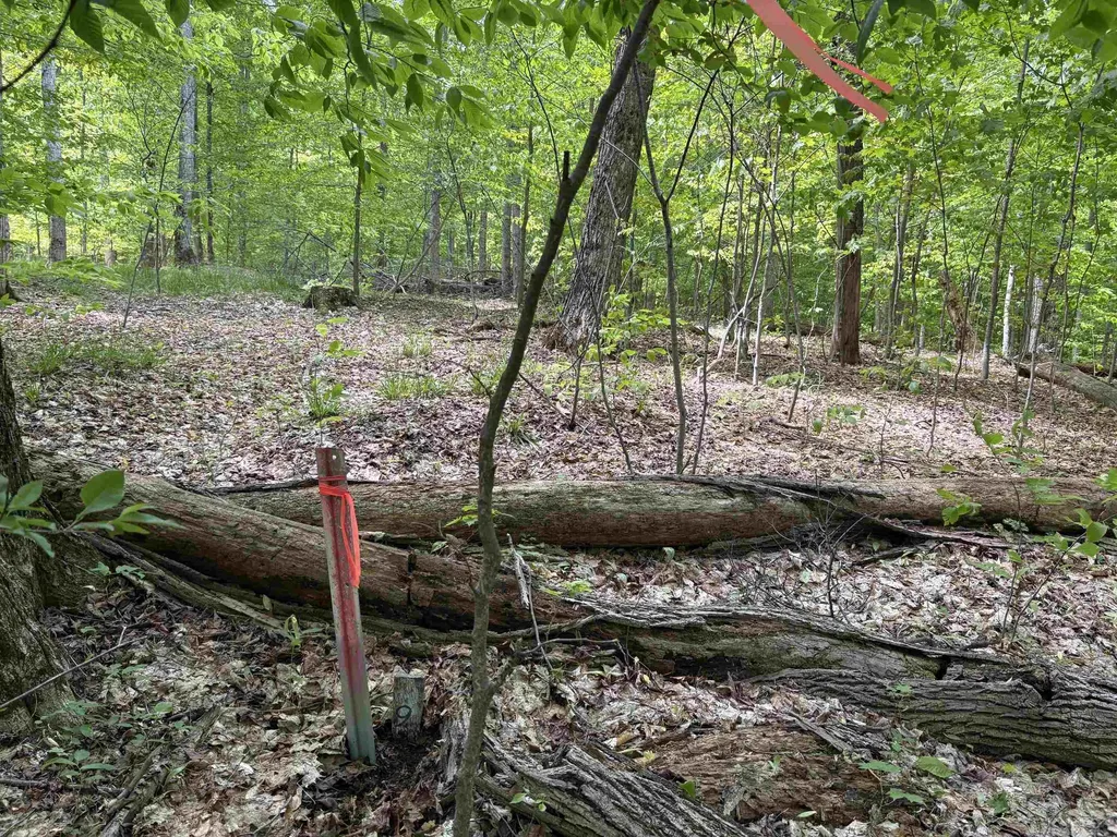 13631 S Beaver Pond Road Empire Township MI 49630