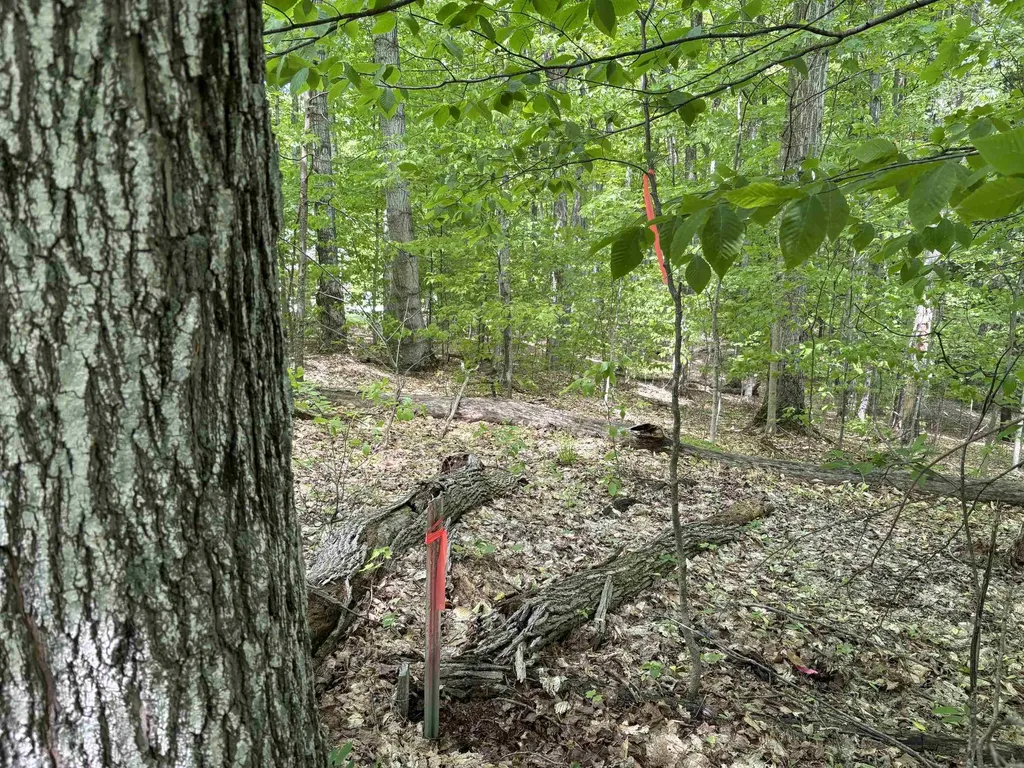 13631 S Beaver Pond Road Empire Township MI 49630