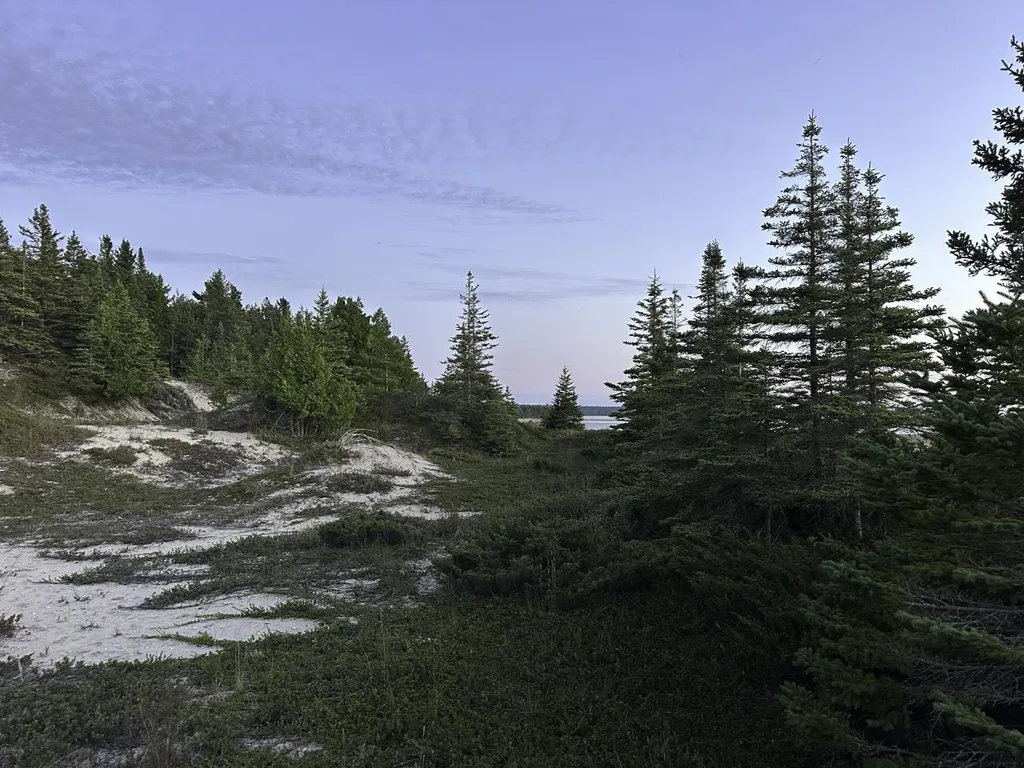 Tbd Mrs Reddings Trail Peaine Township MI 49782