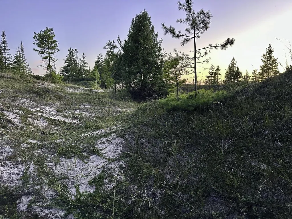 Tbd Mrs Reddings Trail Peaine Township MI 49782