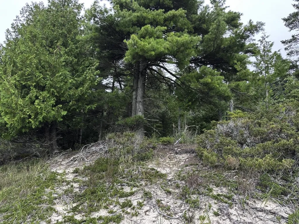Tbd Mrs Reddings Trail Peaine Township MI 49782