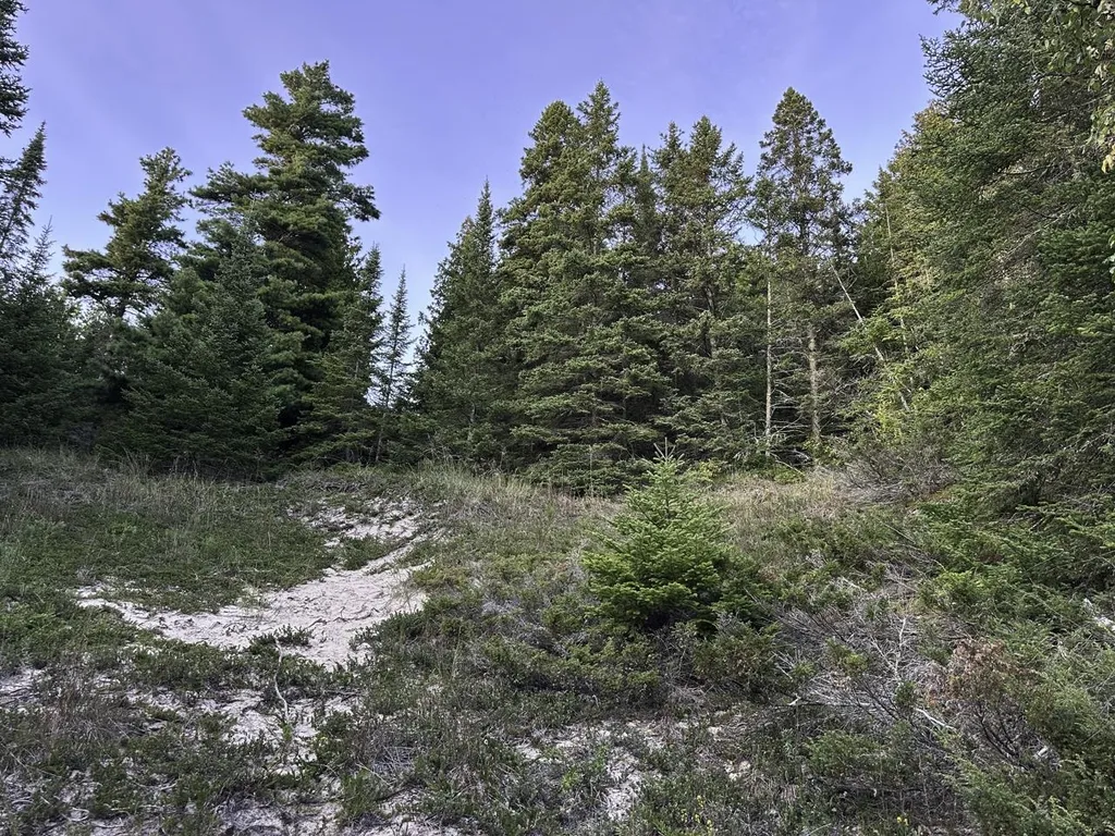 Tbd Mrs Reddings Trail Peaine Township MI 49782