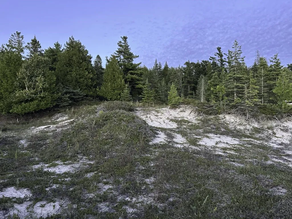 Tbd Mrs Reddings Trail Peaine Township MI 49782