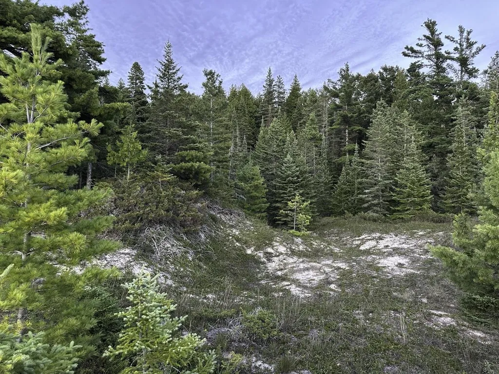 Tbd Mrs Reddings Trail Peaine Township MI 49782