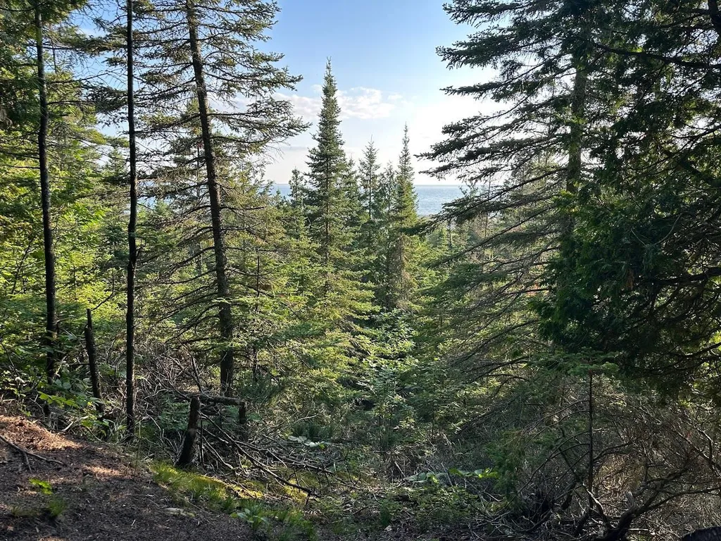 Tbd Mrs Reddings Trail Peaine Township MI 49782