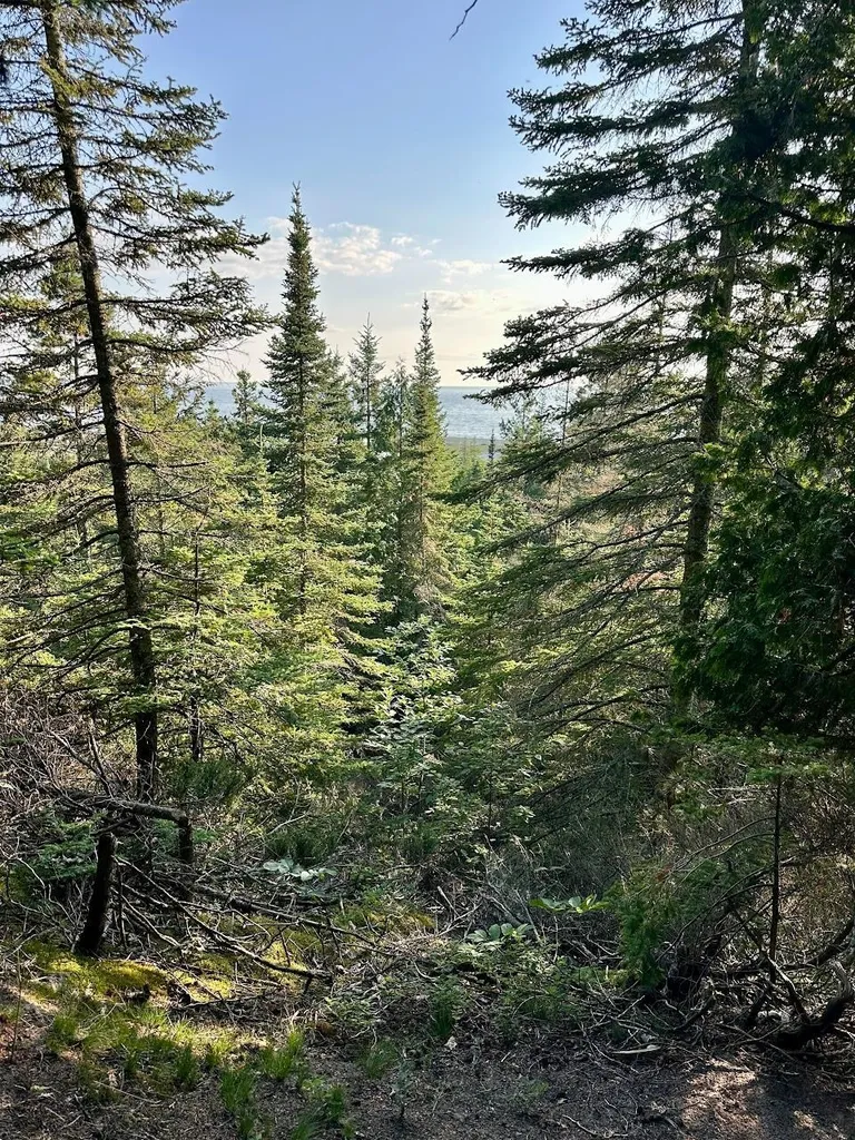 Tbd Mrs Reddings Trail Peaine Township MI 49782
