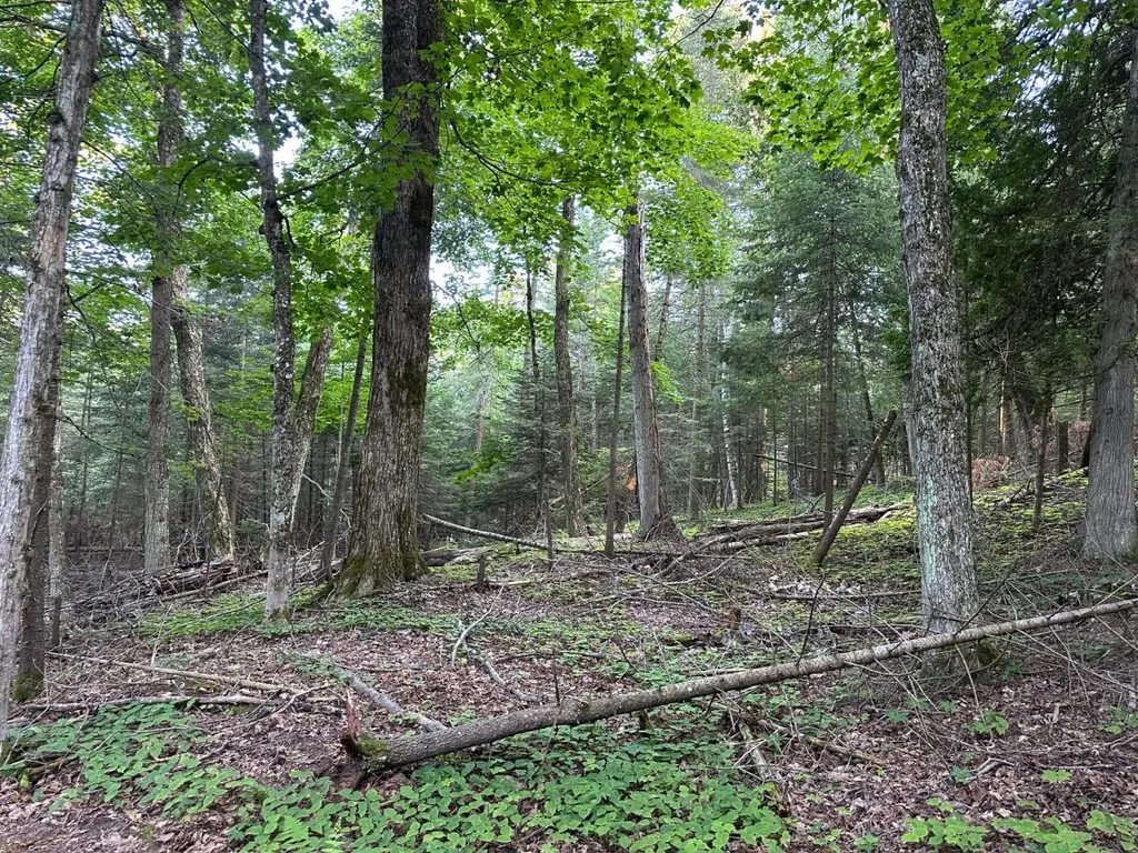 Tbd Mrs Reddings Trail Peaine Township MI 49782