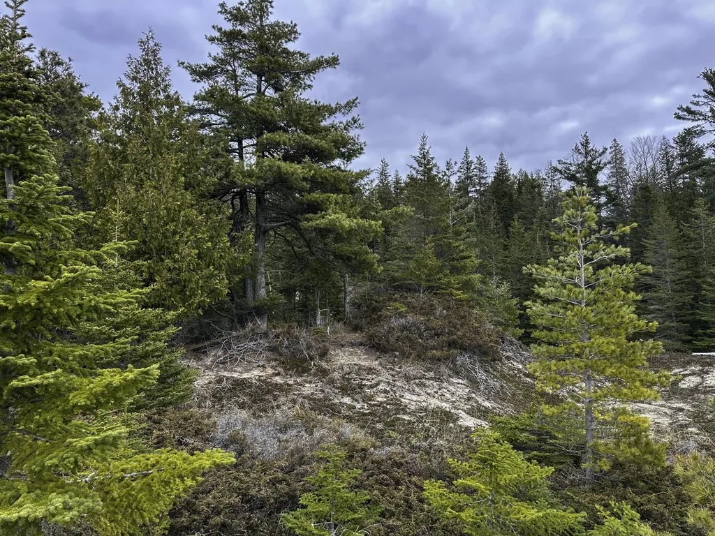 Tbd Mrs Reddings Trail Peaine Township MI 49782