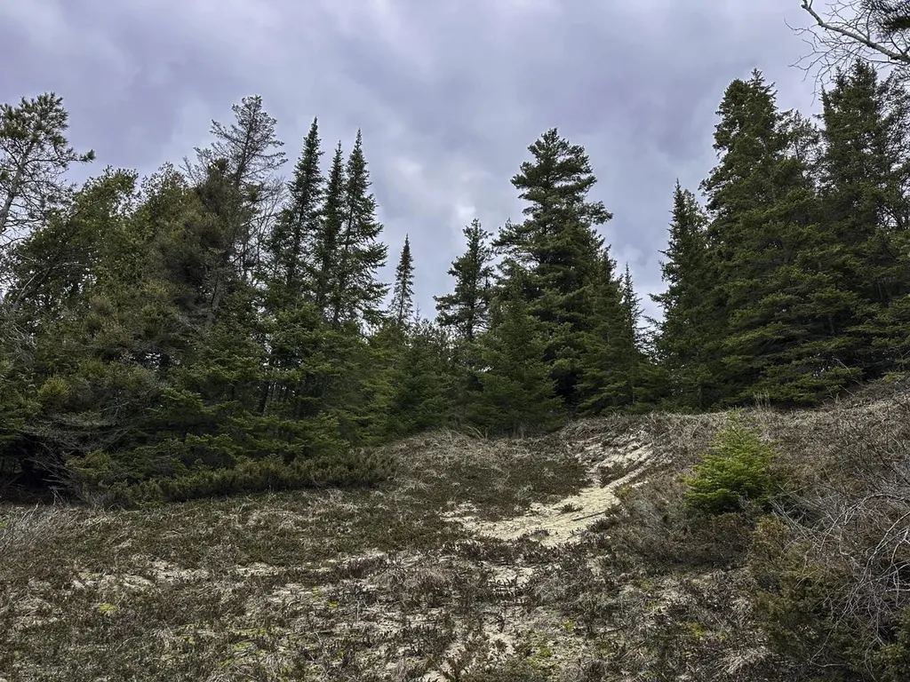 Tbd Mrs Reddings Trail Peaine Township MI 49782