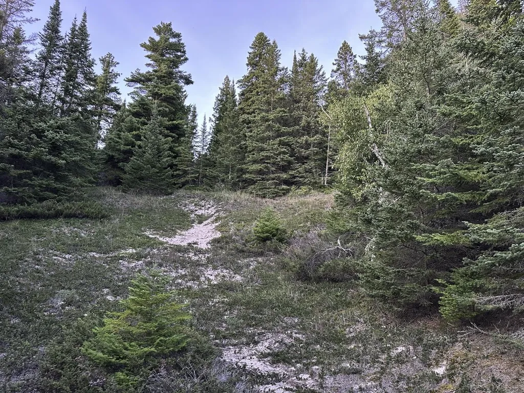 Tbd Mrs Reddings Trail Peaine Township MI 49782