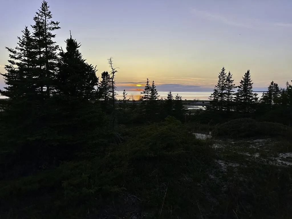 Tbd Mrs Reddings Trail Peaine Township MI 49782