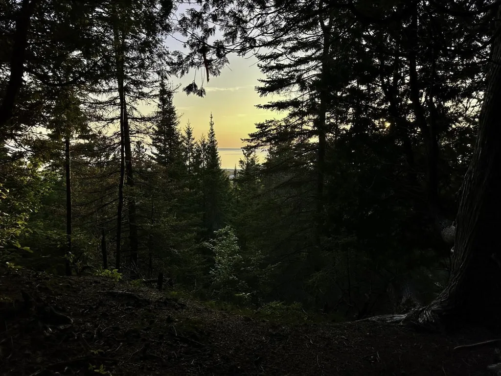 Tbd Mrs Reddings Trail Peaine Township MI 49782